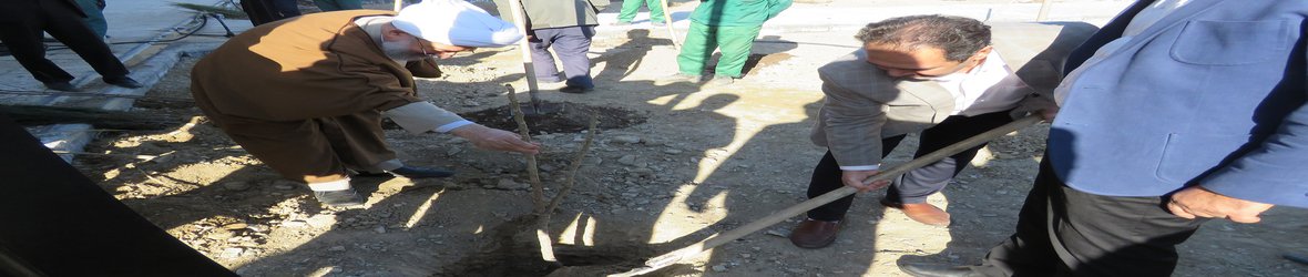 در روزهای درختکاری ؛ غرس نهال در دانشگاه سمنان 