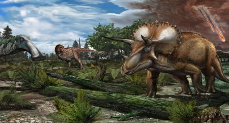 Dinosaurs were thriving before asteroid strike that wiped them out