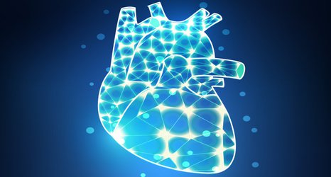 Potential new treatment for heart attack 