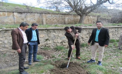 کاشت نهال در شبکه بهداشت و درمان شهرستان سروآباد به مناسبت روز درختکاری