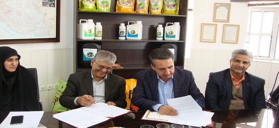 قرارداد فی مابین مرکز تحقیقات و آموزش کشاورزی و منابع طبیعی استان یزد و شرکت گل سنگ کویر یزد منعقد گردید