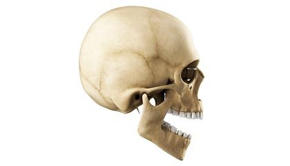 The Ability to Pronounce "F" and "V" Sounds Might Have Evolved Along With Diet