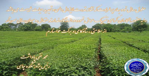 پیام تبریک دکتر پاداشت رئیس پژوهشکده چای به مناسبت آغاز سال جدید