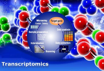 برگزاری مدرسه «ترانسکریپتومیکس» در فروردین ماه