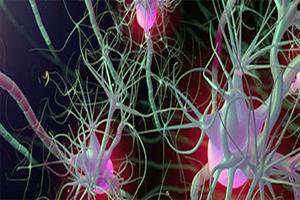 امید بیماران پوستی با سلول درمانی افزایش یافت