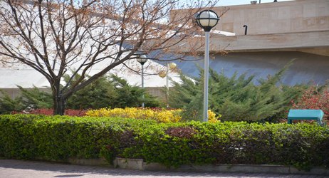 گزارش تصویری-زیباسازی و گلکاری فضای سبز دانشگاه به همت حوزه عمرانی دانشگاه آزاد اسلامی مشهد