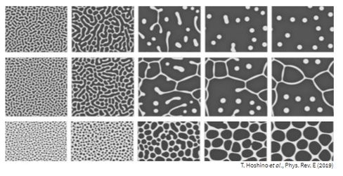 دینامیک سیالات مدلی برای الگوهای سرطانی