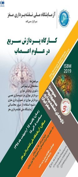 کارگاه پردازش سریع در علوم اعصاب (High-performance computing in neuroscience)